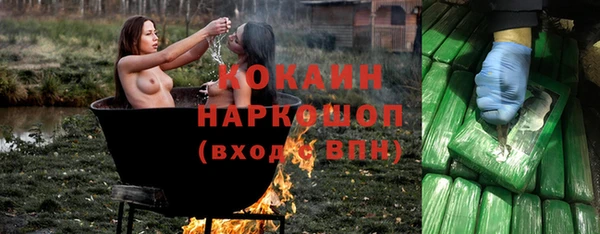 ГАЛЛЮЦИНОГЕННЫЕ ГРИБЫ Майский