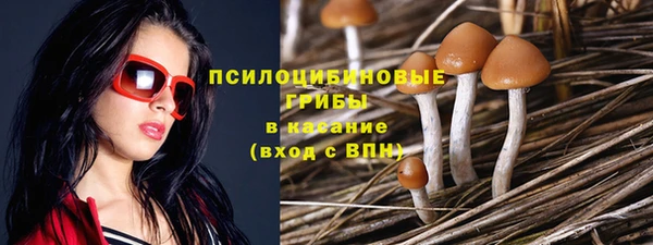 не бодяженный Куйбышев